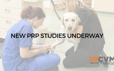 New PRP Studies Underway at the University of Tennessee